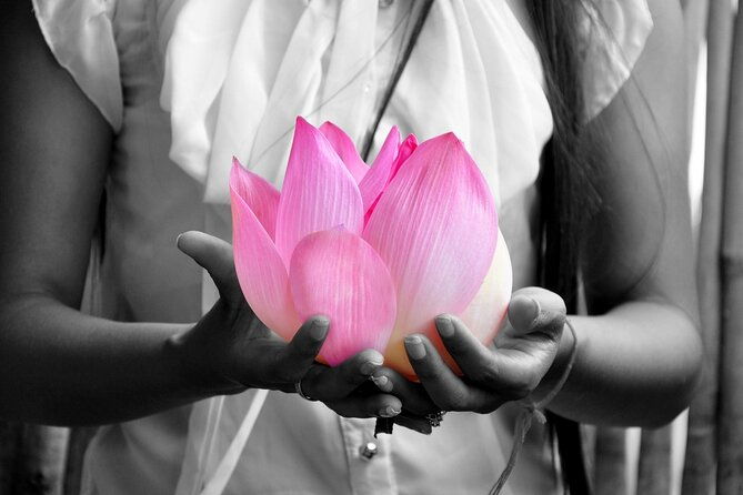 Lotus Silk Farm: Discover Learn and Experiment the Lotus Flower - The Value of the Lotus Silk Farm Tour