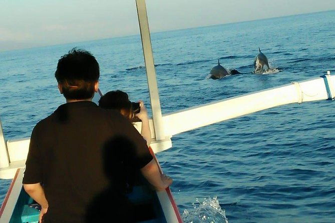 Lovina sunrise with Dolphin watching and Twin Banyumala Waterfall Day Trip - Whats Included and Whats Not