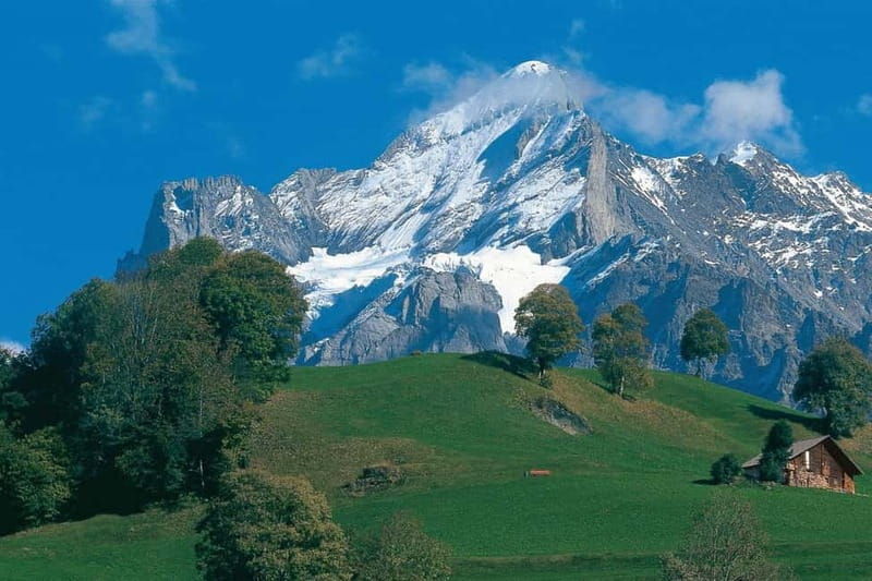Lucerne: Interlaken and Grindelwald Swiss Alps Day Trip - Analyzing the Value