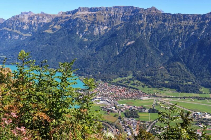 Lucerne: Interlaken & Grindelwald Exclusive Private Day Tour - Transportation and Guide Quality