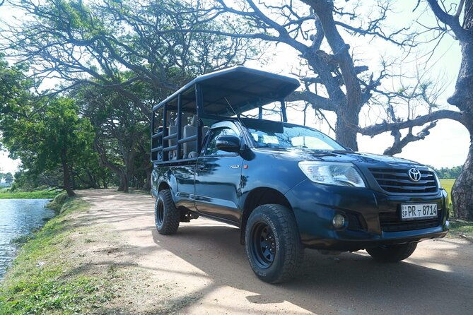 Lunugamvehera National Park Private Safari - What Travelers Love About This Safari