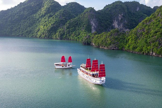 Luxury Bai Tu Long Cruise - Halong Day Trip from Hanoi - What’s Included and What’s Not