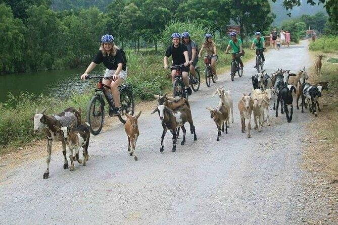Luxury Small Group Tour in Tam Coc, Mua Cave, Bich Dong Pagoda - FAQ: Your Questions About the Tour Answered