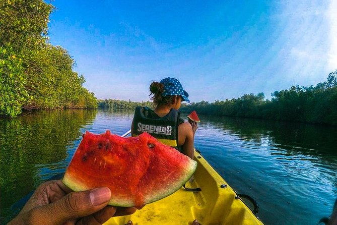 Madu River Sunrise Mangrove Kayaking from Colombo - Why the Early Morning Arrangement Matters