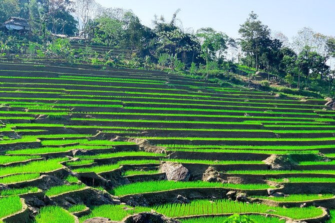 Mai Chau - Pu Luong 2 days - Authentic Experiences and Cultural Insights