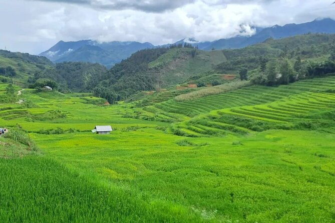 Mai Chau  Pu Luong 2D1N - Authentic Experiences & Local Insights