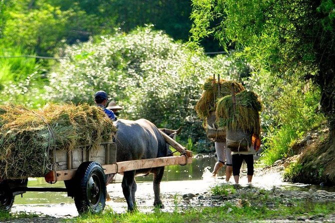 Mai Chau - Pu Luong trekking 3 days 2 nights - Transportation & Timing