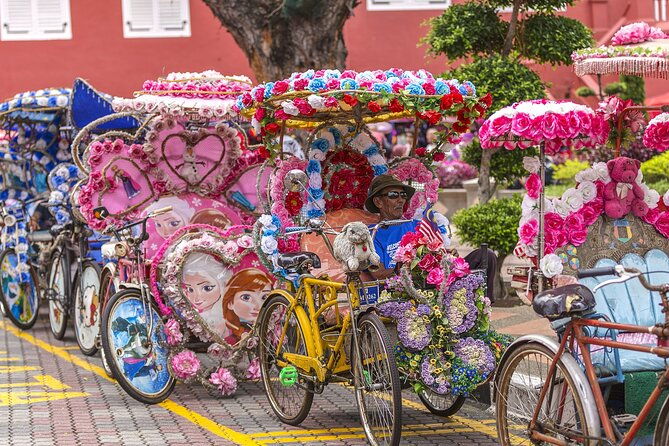 Malacca Historical Private Tour With Personal Chauffeur - What Travelers Say: Authentic Experiences and Knowledgeable Guides
