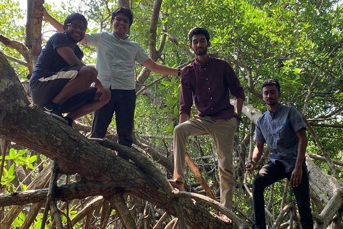 Mangrove Adventure - What Makes This Tour Stand Out?