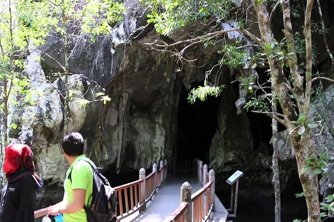 Mangrove Forest Tour In Langkawi - Who Should Consider This Tour?