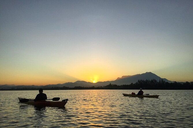 Mangrove Kayaking Experience in Borneo - What’s Included and What to Consider