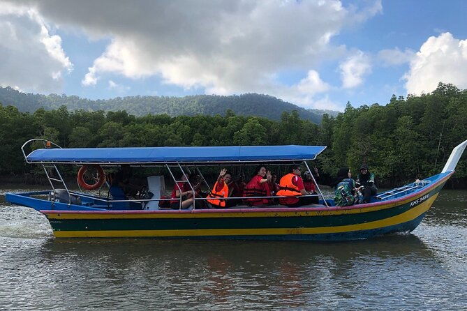 Mangrove River Cruise and Snorkeling Tour from Langkawi - What Reviewers Loved Most