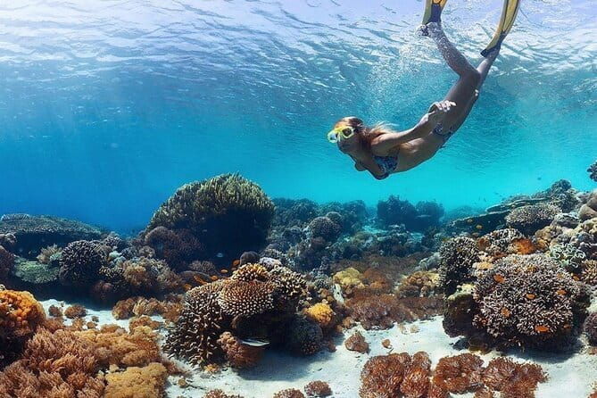 Manta Point Snorkeling & West Nusa Penida Island Day Tour - Final Thoughts