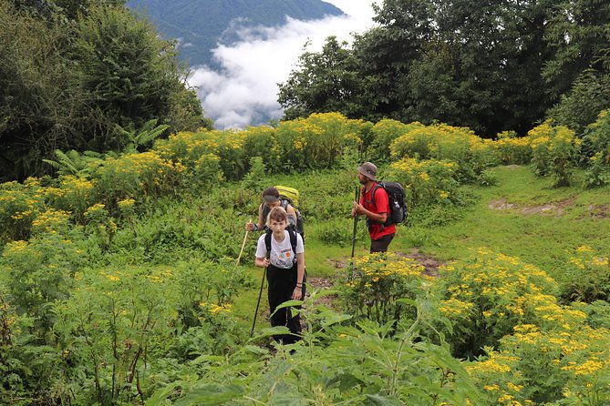 Mardi Himal Base Camp Trek (5 Days) - Practical Considerations