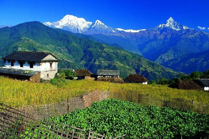 Mardi Himal Trek - Practical Considerations