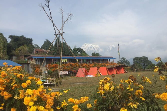 Mardi Himal - What the Reviews Say