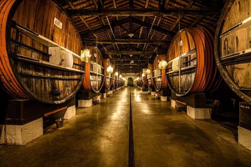 Marseillan: La Maison Noilly Prat Premium Tour - Who Should Consider This Tour?
