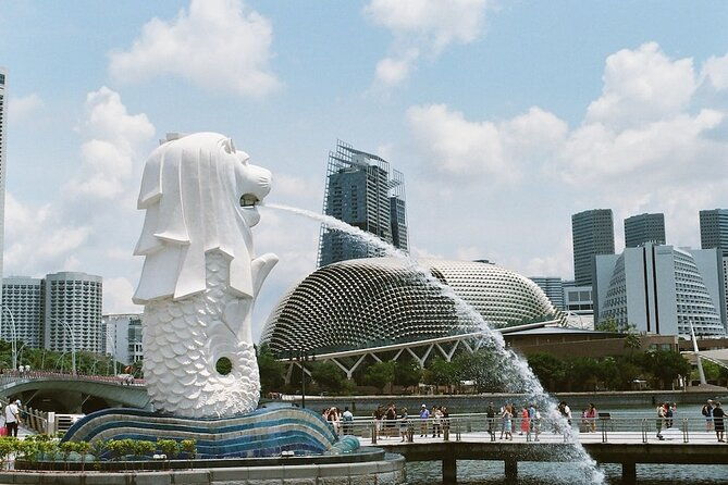 MBCC & HFCC - Cruise Terminal to City Hotel Transfer - Who Should Book This Transfer?
