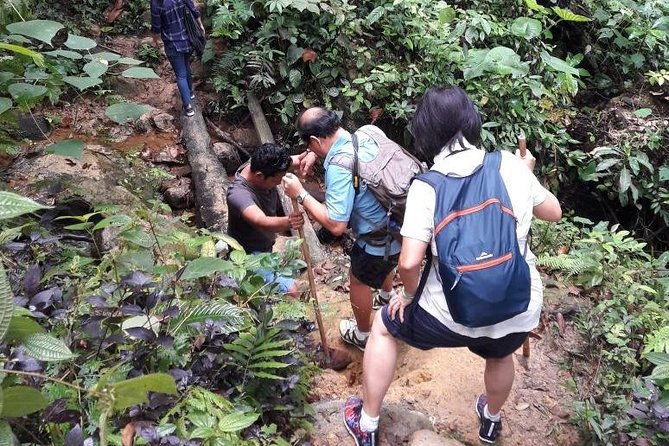 Medan - Bukit Lawang Fullday Tour - What to Expect from the Itinerary