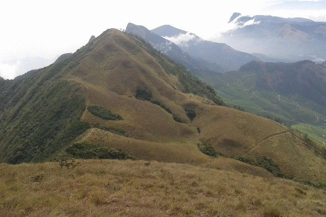 Meesapulimala Sunrise trek( By Munnar Info) - Detailed Breakdown of the Itinerary
