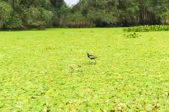 Mekong Delta 3-Day: Saigon to Phnom Penh Gateway - FAQ  