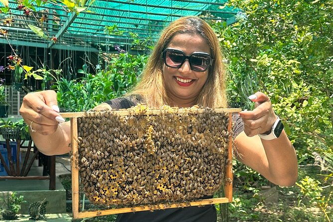 Mekong Delta Day Tour Experience Authentic Vietnamese Culture! - Who Should Consider This Tour?