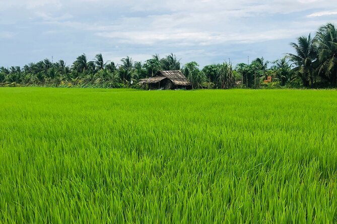 Mekong with biking private tour - What Makes This Tour Special?