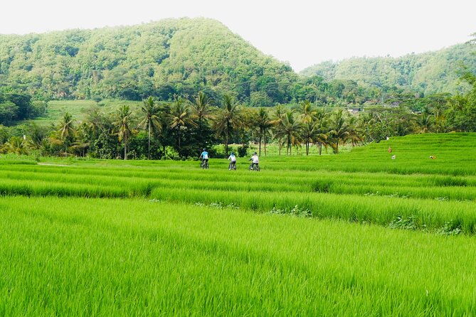 Menoreh Village Cycling - Nanggulan - What’s Included and What’s Not