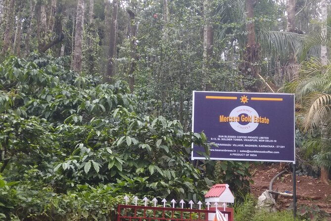Mercara Gold Coorg Coffee and Spice Estate Tour - The Itinerary in Detail
