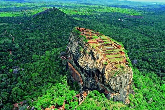Minneriya Elephant Safari wth Sigiriya Lion Rock from Colombo - Practical Details and Tips