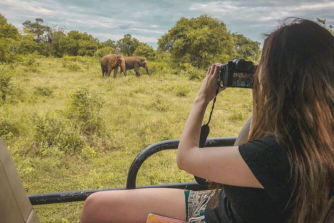 Mirissa to Ella Shuttle & Safari Drive (Breakfast included) - The Sum Up