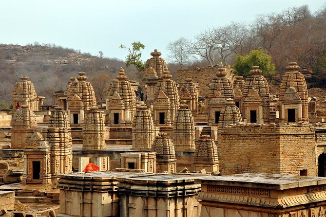 Mitawali, Padawali & Bateshwar Temple (Day excursion from Gwalior) - Who Should Consider This Tour?