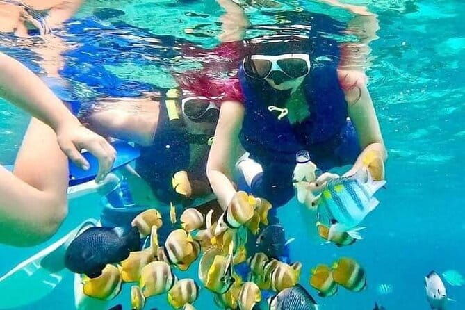 Monkey Bar and snorkling adventure at blue lagoon. - Practical Details & What to Expect