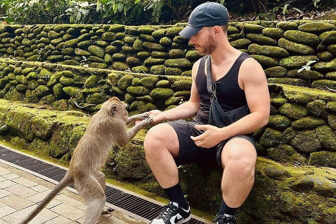 Monkey Forest, Rice Terrace & Water Temple Tour - Who Is This Tour Best For?
