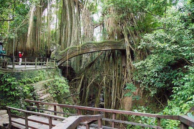 Monkey Forest Ubud Half day Tour - Detailed Breakdown of the Tour Stops