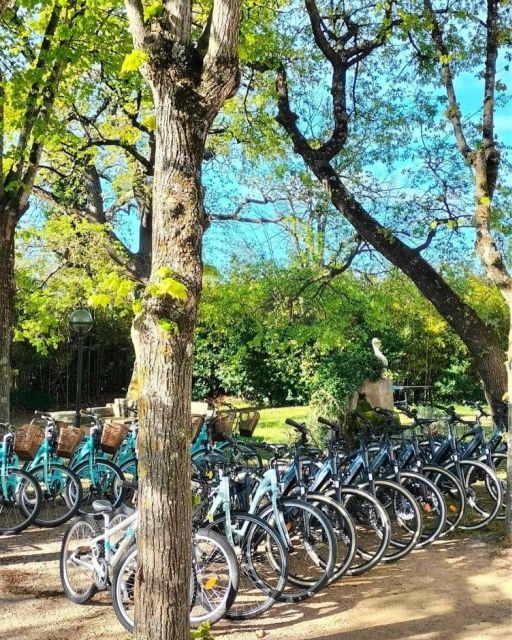 Monteux: Bike Rental - The Routes and Scenic Highlights
