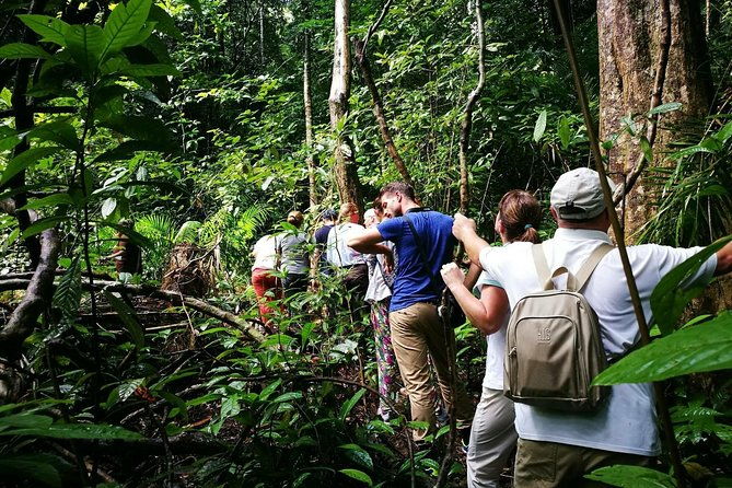 Morning Rainforest Walking from Langkawi - The Practicalities: What You Need to Know