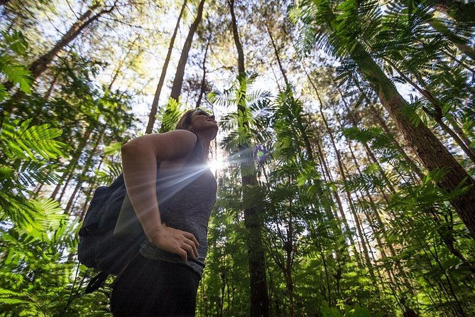 Mount Batur Sunrise Trekking With Breakfas - Why You Should Consider This Tour
