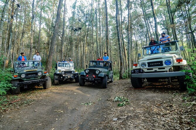 Mount Batur Trekking by 4wd Jeep - Practical Details and Value
