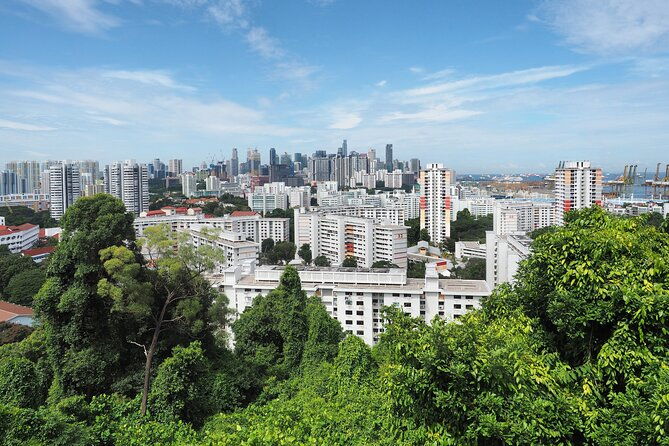 Mount Faber, Henderson Waves and Southern Ridges Tour - Who Should Consider This Tour?