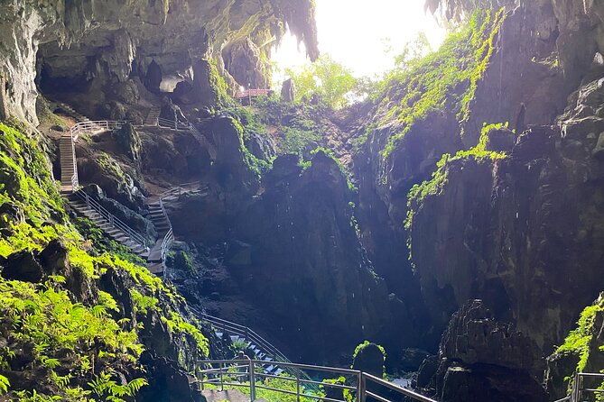 Mountain Biking Gold Mine Full-Day Tour - Why the Tour is a Great Deal