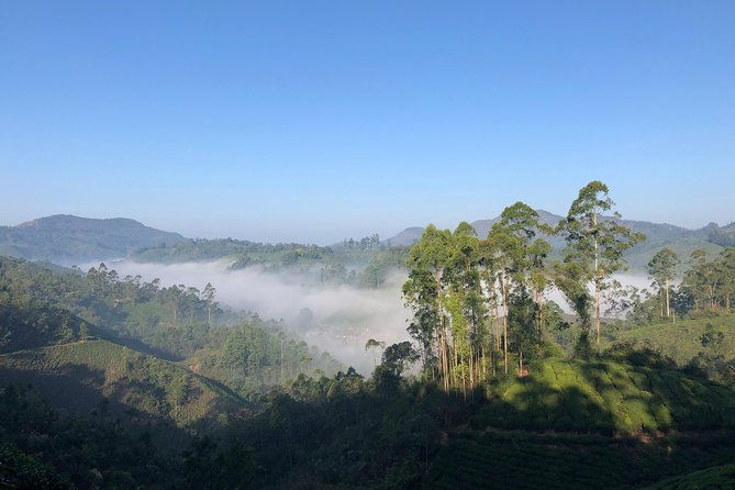 Mountain Hiking in Munnar (half day) By Munnar Info - Why This Tour Offers Great Value