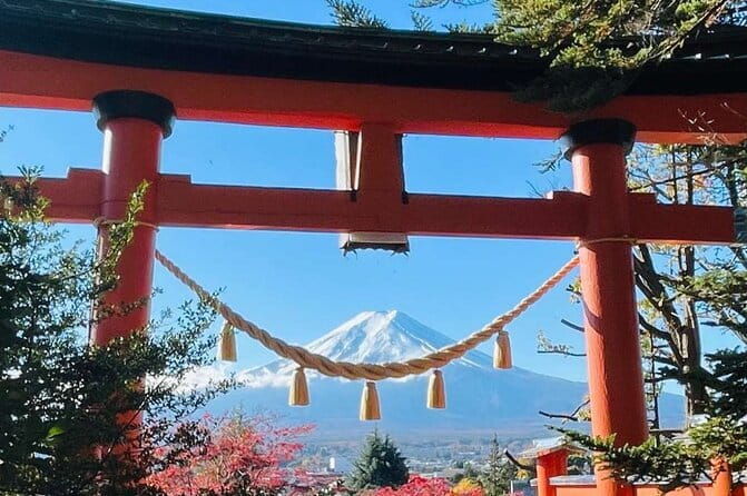 Mt Fuji & Hakone Private Tour from Tokyo & Yokohama - Authentic Experiences and Real Traveler Insights