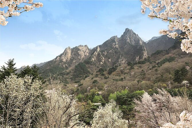 Mt. Seorak+Nami Island+Garden of Morning Calm Day Trip from Seoul - What Travelers Love (and What They Sometimes Wish for)
