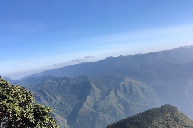 Munnar Daily Tour - Authentic Experiences and Reviewer Insights