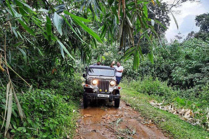 Munnar Mountain Jeep Safari - Practical Tips for Making the Most of Your Safari