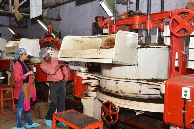 Munnar Tea Trail Tour with Factory Experience ( By Munnar Info) - A Full Breakdown of the Tour Experience