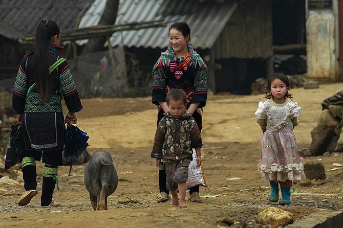 Muong Hoa Valley Trek & Homestay Experience - 4D3N - What’s Included and What to Consider