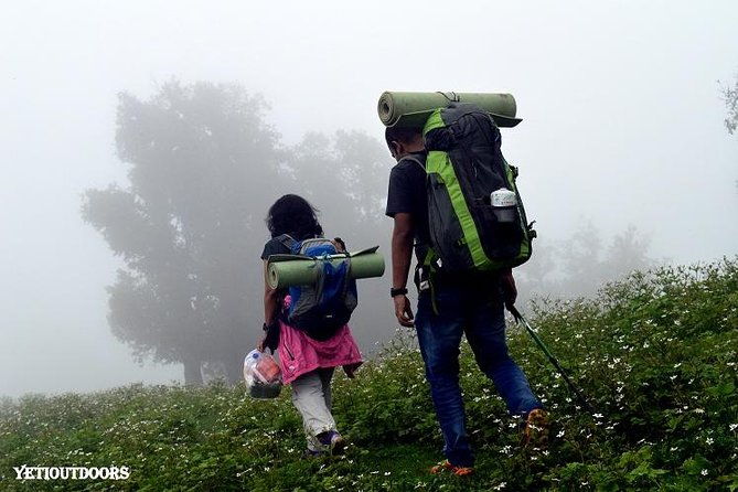 Naag Tibba Trekking and Hiking 2 Nights and 3 Days - Who Will Love This Trek?