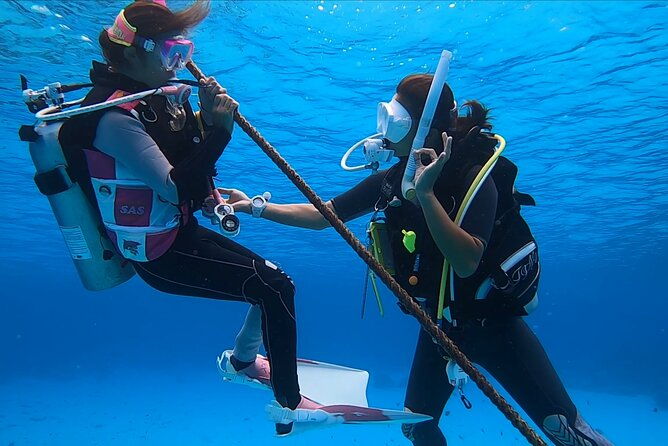 Naha: Full-Day Introductory diving & Snorkeling in the Kerama Islands, Okinawa - The Sum Up